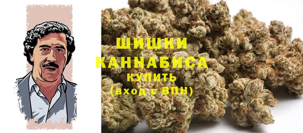 шишки Баксан