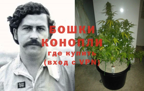 шишки Баксан