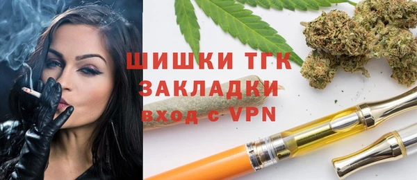 шишки Баксан