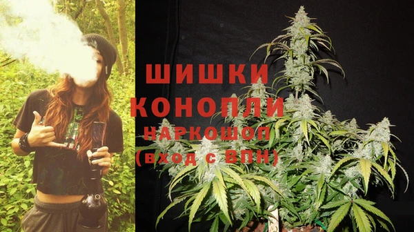 шишки Баксан